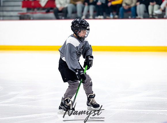 Centennial vs Duluth East Varsity Hockey 29