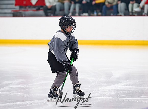 Centennial vs Duluth East Varsity Hockey 30