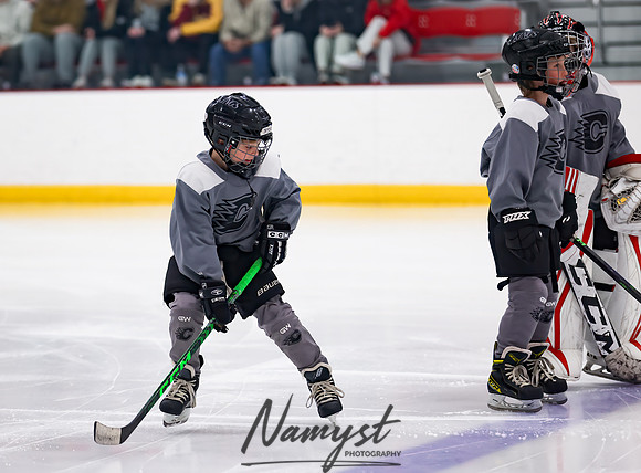 Centennial vs Duluth East Varsity Hockey 31