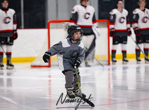 Centennial vs Duluth East Varsity Hockey 34