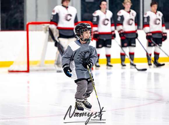 Centennial vs Duluth East Varsity Hockey 35