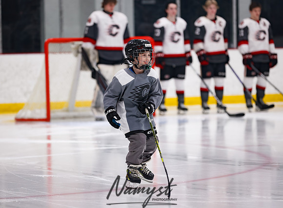 Centennial vs Duluth East Varsity Hockey 36