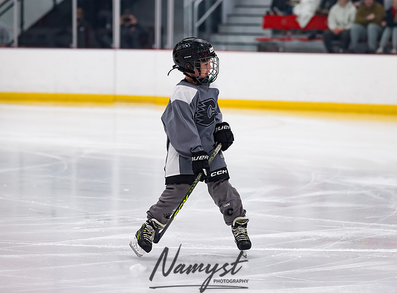 Centennial vs Duluth East Varsity Hockey 37