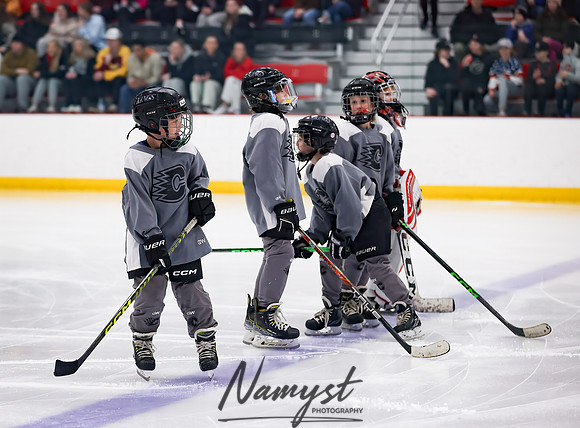 Centennial vs Duluth East Varsity Hockey 39