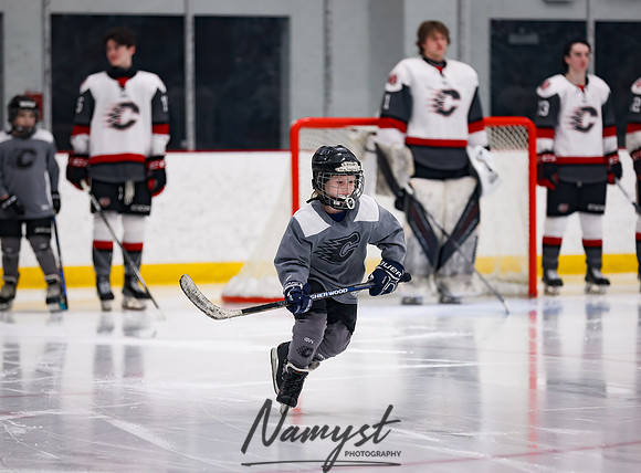 Centennial vs Duluth East Varsity Hockey 41