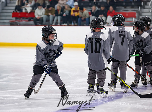 Centennial vs Duluth East Varsity Hockey 43