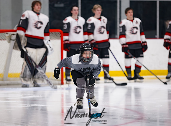 Centennial vs Duluth East Varsity Hockey 45