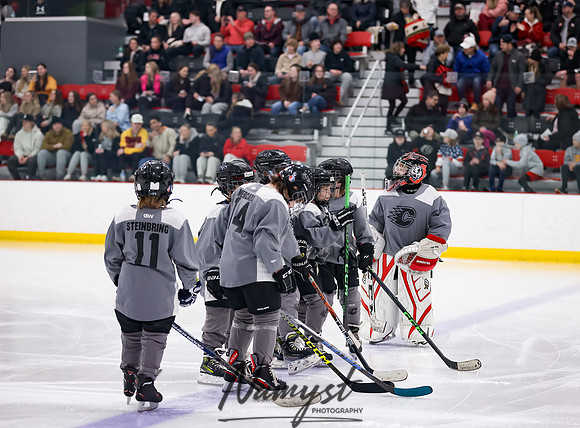 Centennial vs Duluth East Varsity Hockey 48