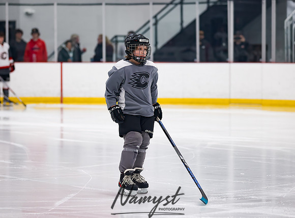 Centennial vs Duluth East Varsity Hockey 47