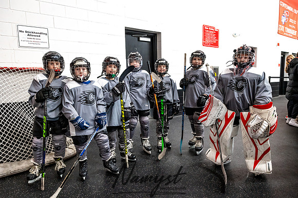 Centennial vs Duluth East Varsity Hockey 85
