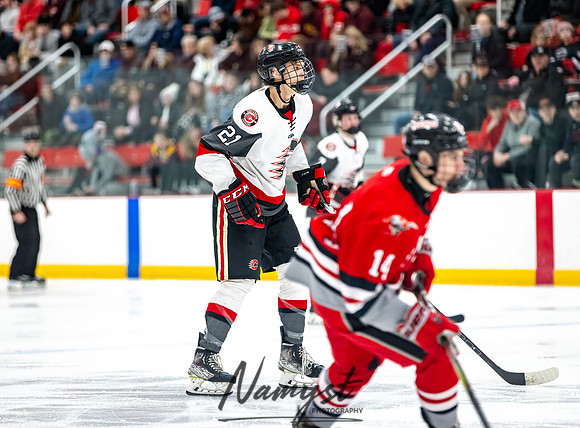 Centennial vs Duluth East Varsity Hockey 86