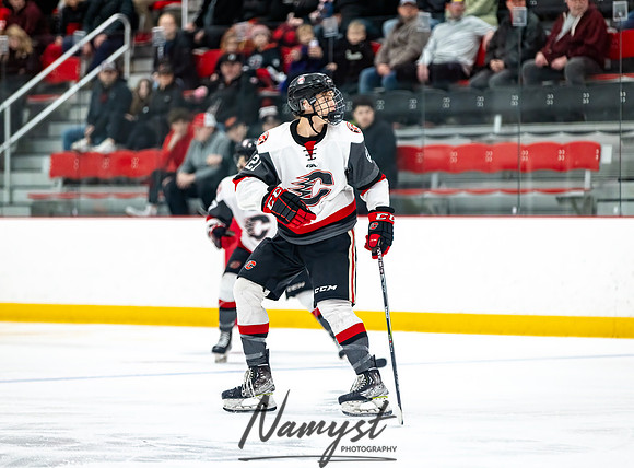 Centennial vs Duluth East Varsity Hockey 87