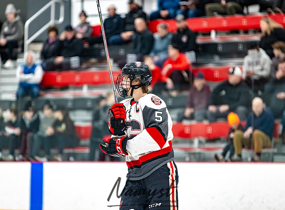 Centennial vs Duluth East Varsity Hockey 88