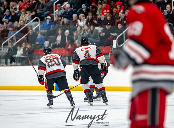 Centennial vs Duluth East Varsity Hockey 93