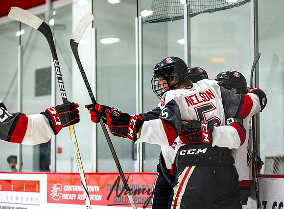 Centennial vs Duluth East Varsity Hockey 146
