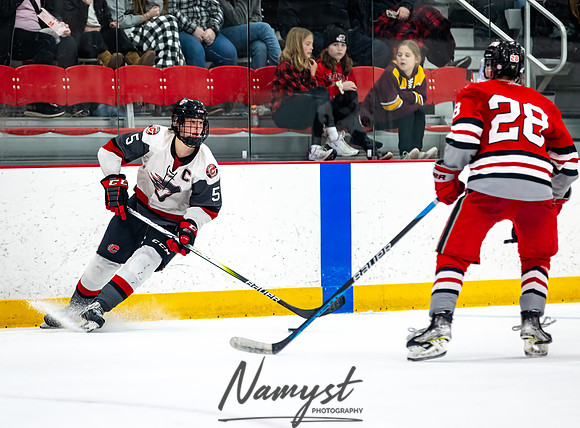 Centennial vs Duluth East Varsity Hockey 178