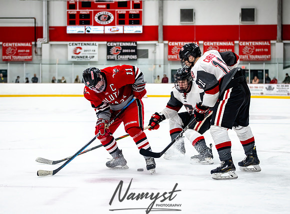 Centennial vs Duluth East Varsity Hockey 201