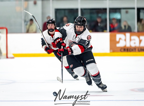 Centennial vs Duluth East Varsity Hockey 203