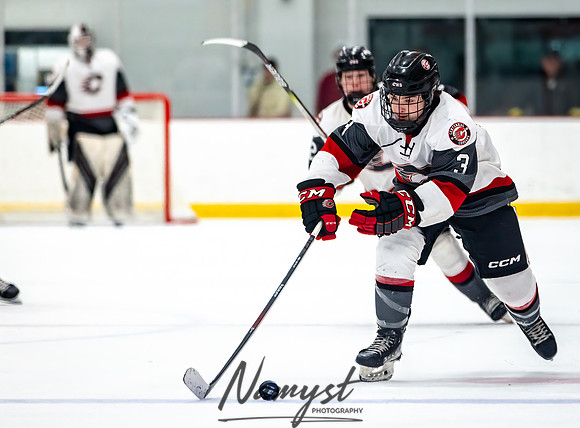 Centennial vs Duluth East Varsity Hockey 204