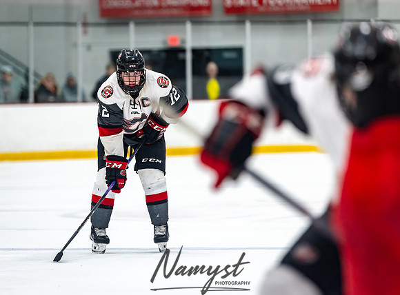 Centennial vs Duluth East Varsity Hockey 208
