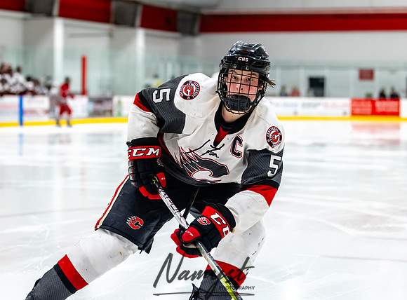 Centennial vs Duluth East Varsity Hockey 212