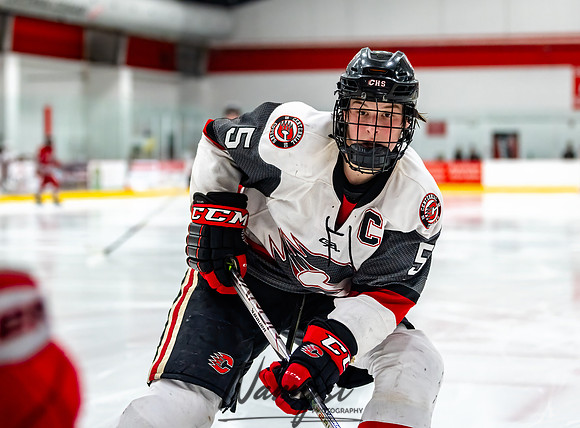 Centennial vs Duluth East Varsity Hockey 213