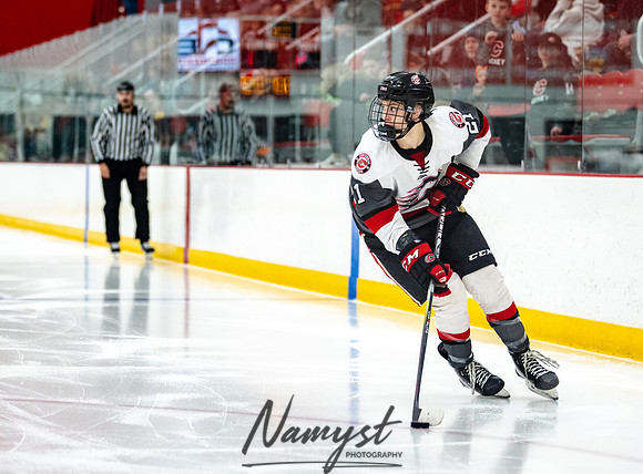 Centennial vs Duluth East Varsity Hockey 219