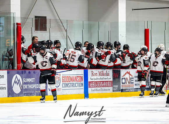 Centennial vs Duluth East Varsity Hockey 228