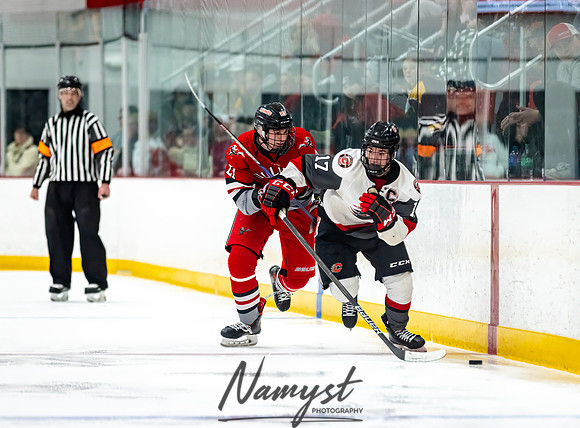 Centennial vs Duluth East Varsity Hockey 232