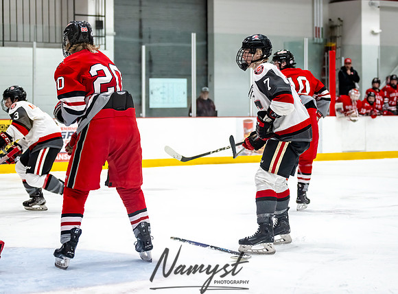 Centennial vs Duluth East Varsity Hockey 254
