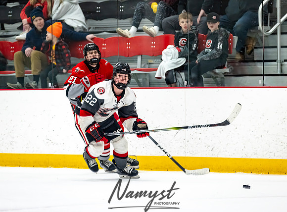 Centennial vs Duluth East Varsity Hockey 281