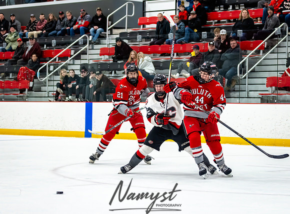 Centennial vs Duluth East Varsity Hockey 282