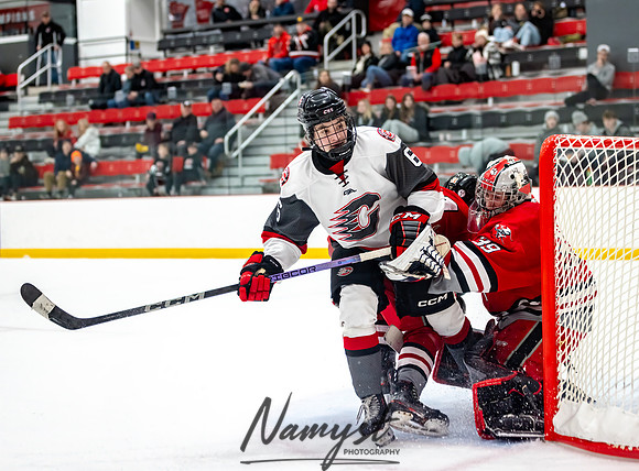 Centennial vs Duluth East Varsity Hockey 289