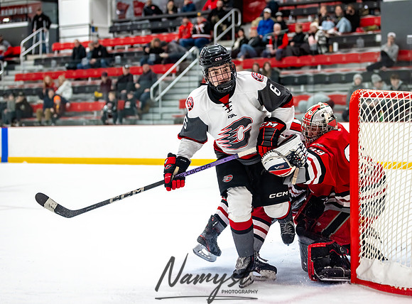 Centennial vs Duluth East Varsity Hockey 290