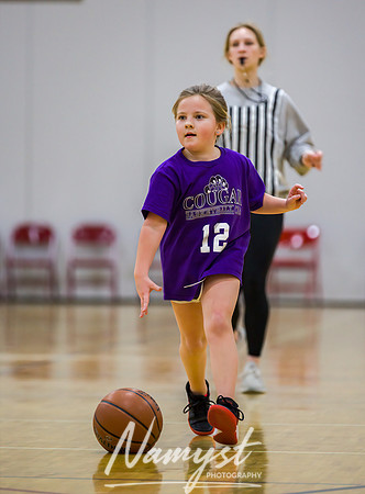 Centennial Basketball Association 101
