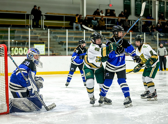 Chisago vs Rogers Varsity Hockey 341