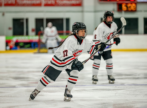 Centennial vs Rosemount JV Hockey 123