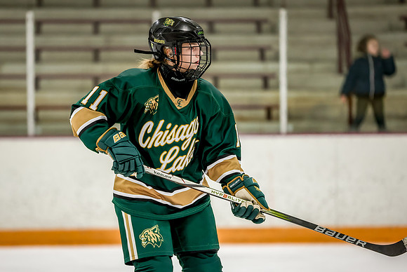 Chisago vs Forest Lake Varsity Hockey 14