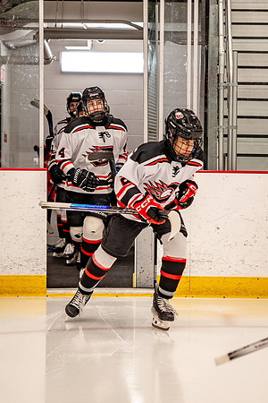 Centennial Bantam AA Hockey 105