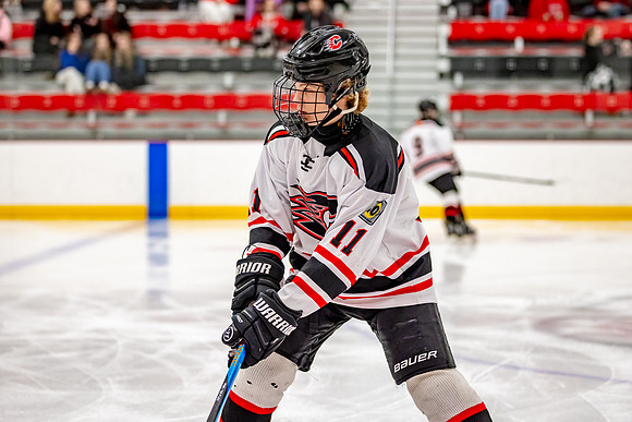 Centennial Bantam AA Hockey 202