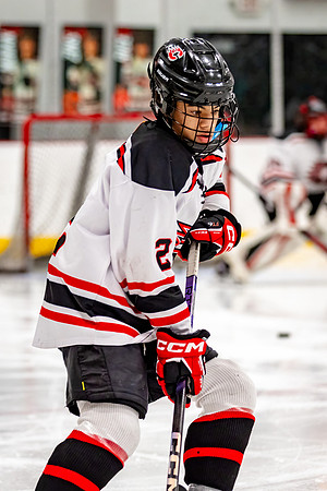 Centennial Bantam AA Hockey 203