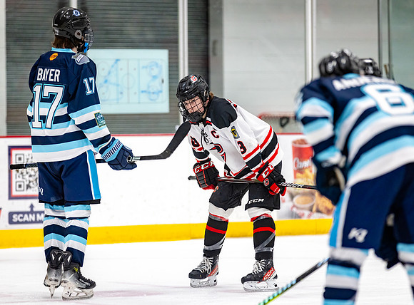 Centennial Bantam AA Hockey 306