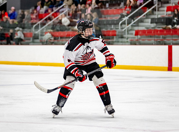 Centennial Bantam AA Hockey 318