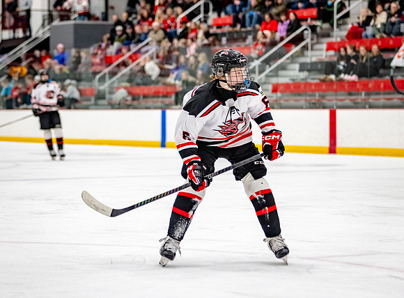 Centennial Bantam AA Hockey 320