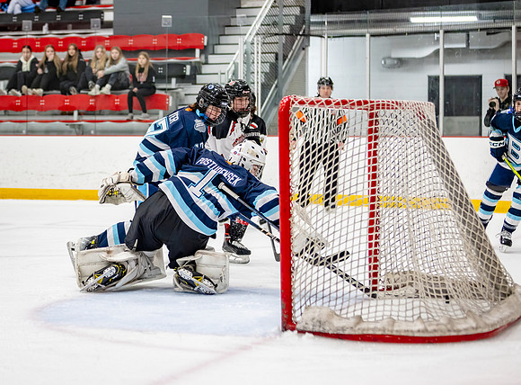 Centennial Bantam AA Hockey 325