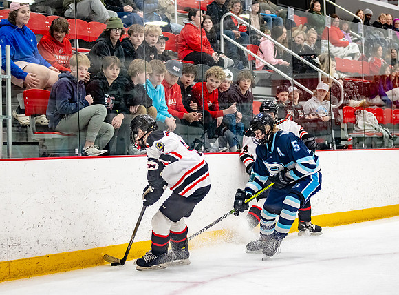 Centennial Bantam AA Hockey 446