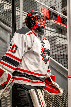 Centennial Bantam AA Hockey 96