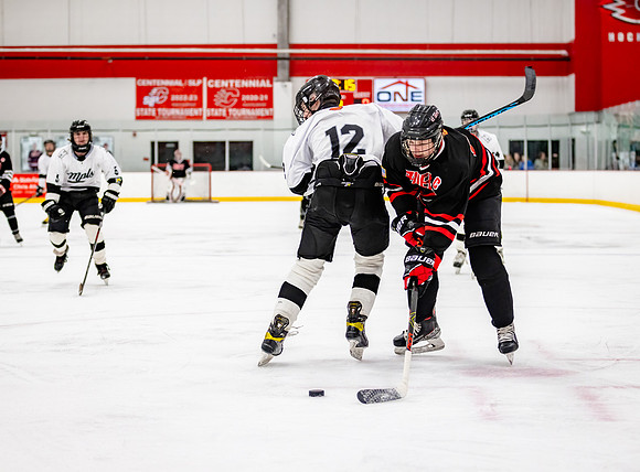 Centennial Junior Gold Hockey 212