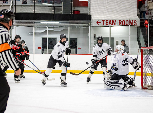 Centennial Junior Gold Hockey 260