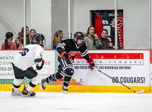 Centennial Junior Gold Hockey 312